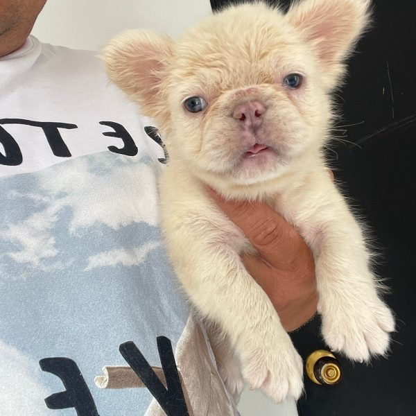 WhatsApp Image 2023-01-03 at 9.25.12 AM